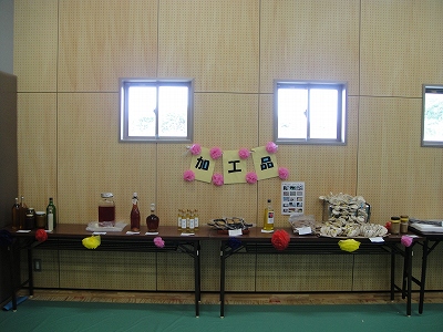 2010-8- 027.jpg