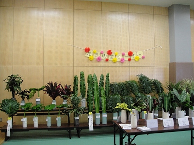 2010-8- 029.jpg