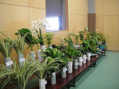 2010-8- 031.jpg