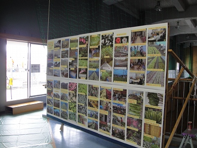 2010-8- 035.jpg