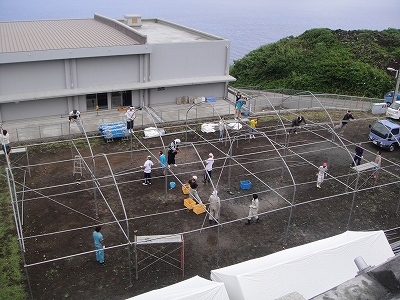 2010-8-8 060.jpg